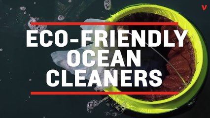 Ocean Cleaning Seabin Can Run On Wind, Solar, Or Wave Power
