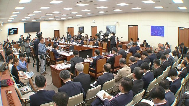 국감장서도 원전 공방... 졸속 vs 정치 공세 / YTN