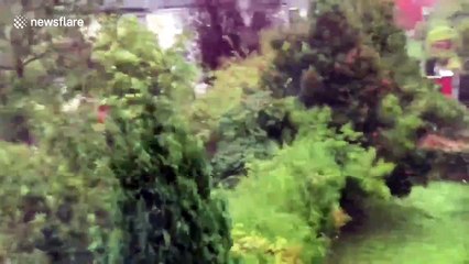 Ophelia winds batter Cork