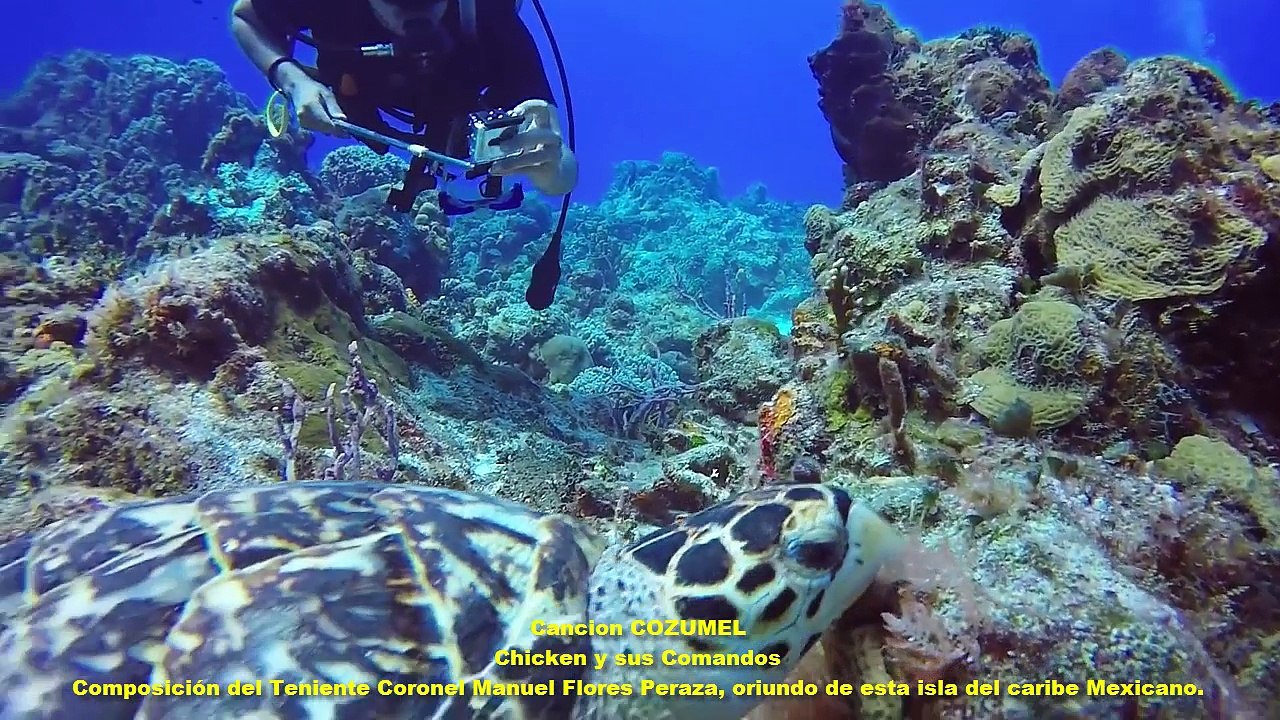COZUMEL