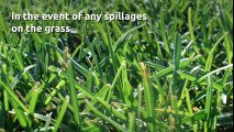 How To Maintain Artificial Grass Lawns in Nottingham
