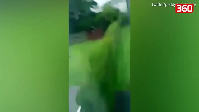 Uragani i fuqishëm godet Europën, raportohen dëmet e para dhe shtetet që pritet të godasë në vazhdim (360video)