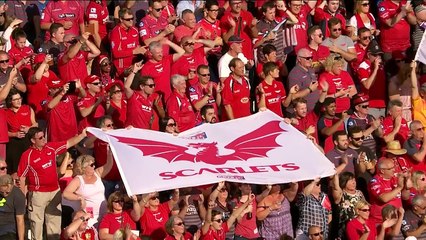 RC Toulon v Scarlets (P5) - Highlights – 15.10.2017
