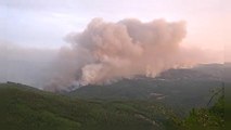 Mehr als 35 Tote bei Waldbränden in Spanien und Portugal