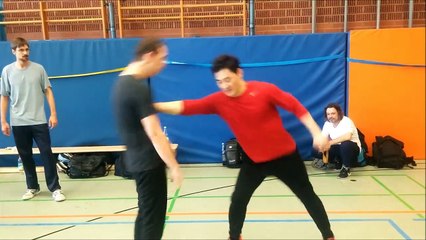 Zero inch punch(Use your spine and gravity) - DK Yoo