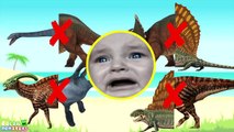 Wrong Shadow Dinosaurs! Learn Jurassic Dinosaurs Name Nursery Rhymes. Dinosaurs Rex Toys for Kids.