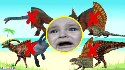 Wrong Shadow Dinosaurs! Learn Jurassic Dinosaurs Name Nursery Rhymes. Dinosaurs Rex Toys for Kids.