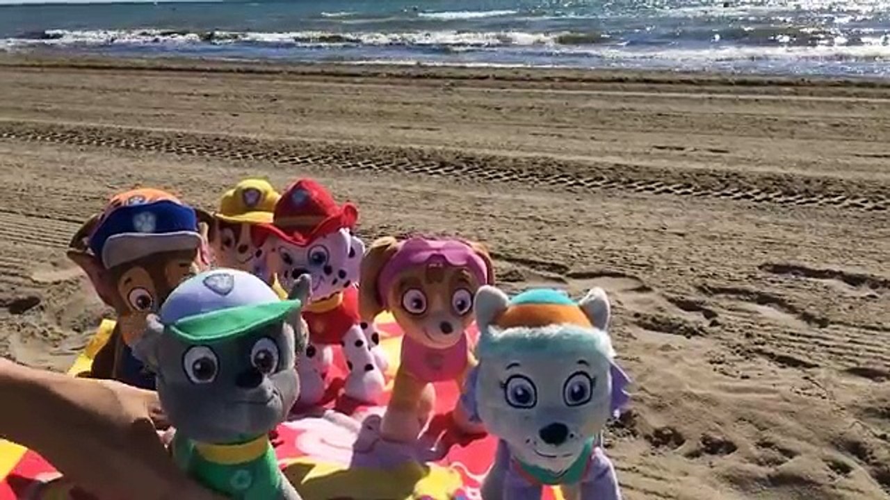 La patrulla canina en español se baña en la playa / Cap 19 Paw Patrol en español