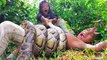 Terrifying!! Brave Asian Sister and Brother Catch Extremely Big Snakes With Hand (Part 99)