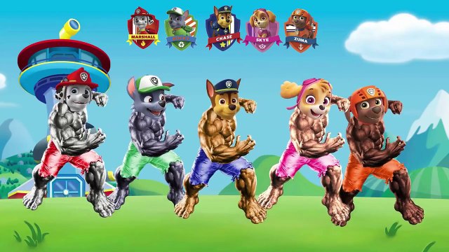 Paw Patrol Transforms Into Hulk Finger Family Song - Hulk as Paw Patrol Nursery Rhymes for Kids