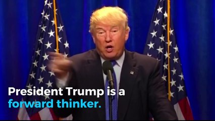 President Trump raised over $10 million for re-election bid