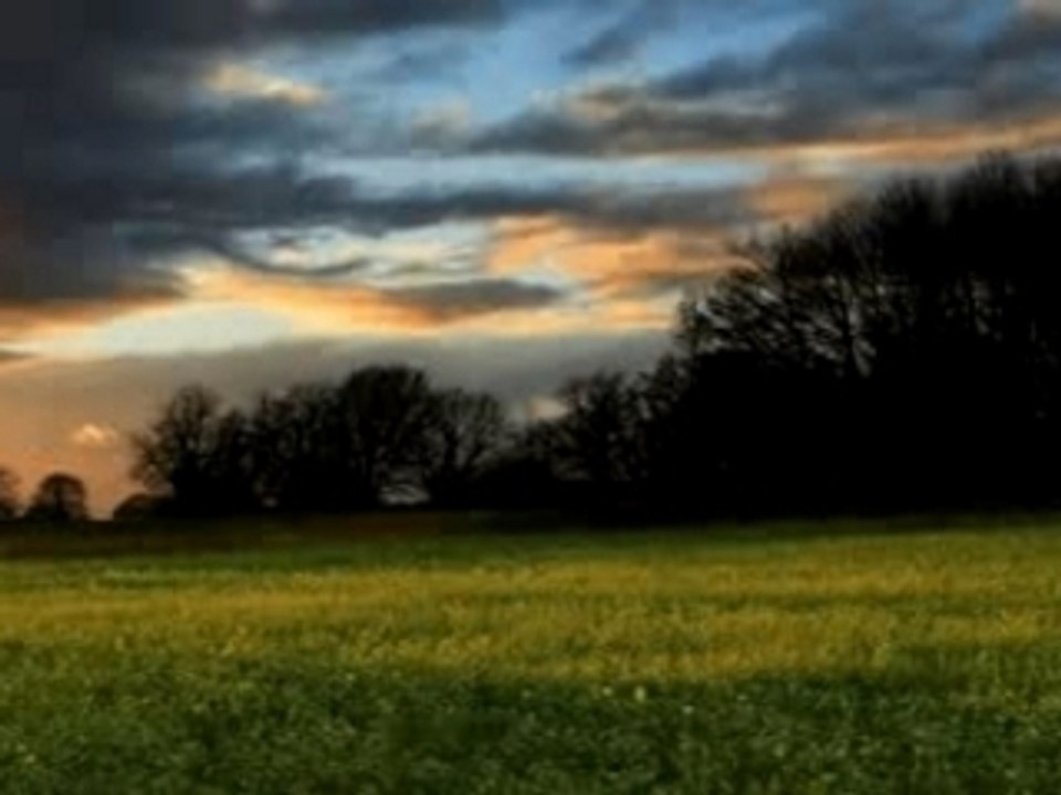 Homme préhistorique animation facilale et mouvement