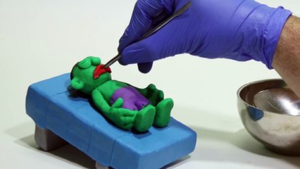 Hulk vs Carnivorous plant vs dog Superheroes in Real Life Stop Motion animation Play Doh video