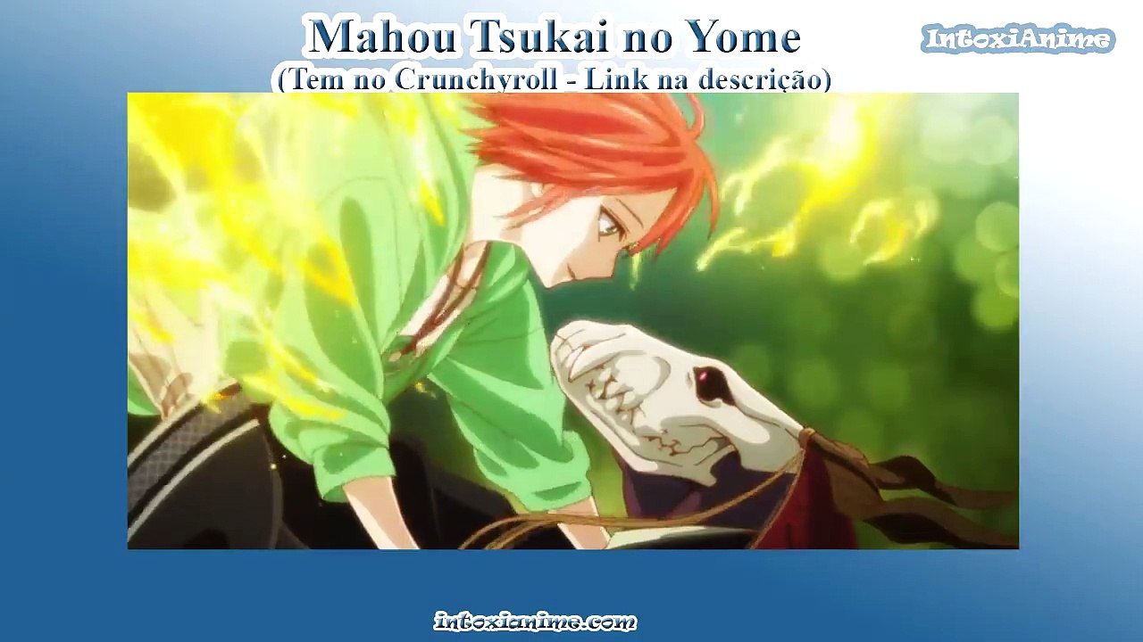 UM A BELA E A FERA DIFERENTE (e Lindo) - MahouTsukai no Yome - Impressões