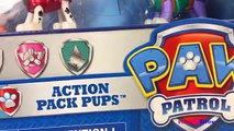 PAW PATROL LIMITED EDITION METALLIC SERIES ACTION PACK PUPS CHASE MARSHALL RUBBLE SKYE EVEREST ROCKY