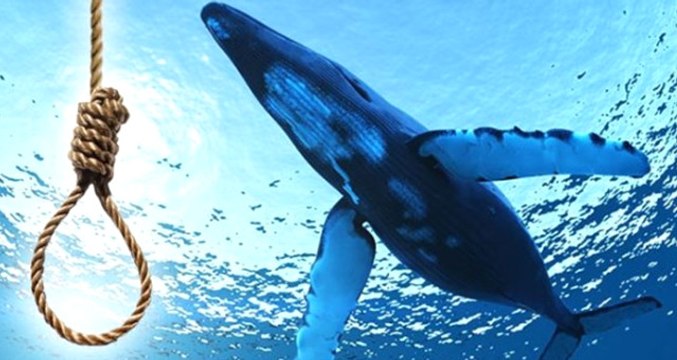 Anne-Babalar Dikkat! Çocukları İntihara Sürükleyen Mavi Balina Nedir?