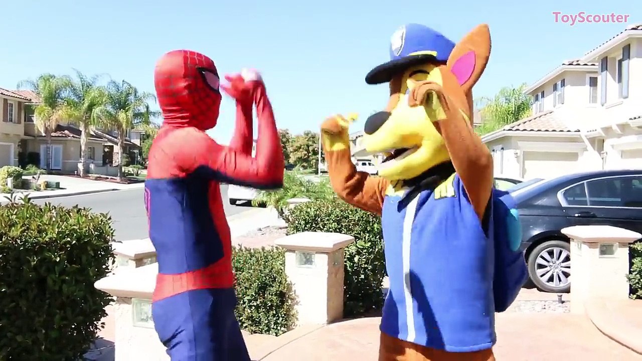 Frozen Elsa Got Nail Through the Hand! w/ Spiderman, Paw Patrol Chase & Witch in Real Life