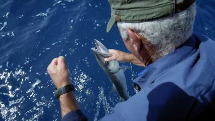 Catching Giant Barracudas River Monsters