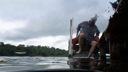 The Predator of the Piranha River Monsters
