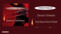 Turan Parlak - Yeşil Başlı Gövel Ördek