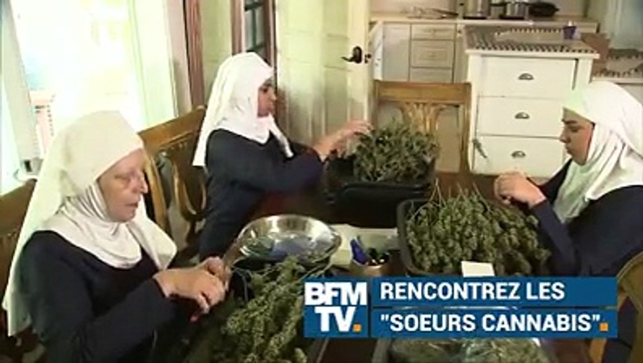 Elles sont vendues pour 750.000€ de cannabis l’an dernier