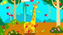 Conhecendo os Animais - Vídeo Educativo para Crianças - App game infantil