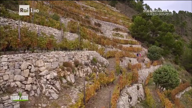 A Trincea Airole - Muretti a secco