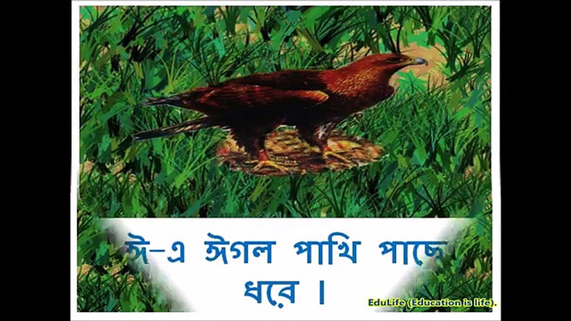 Bengali Language-Bengali Alphabet - video Dailymotion
