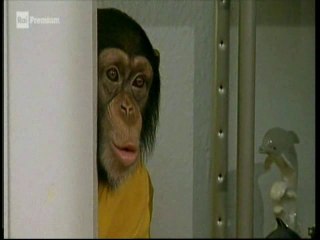 Il nostro amico Charly 12x13 - Charly e l'amore