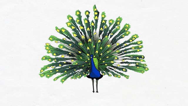 Загадки для детей про животных, птиц, насекомых и фрукты. Сборник 1. Развивающие мультики для детей.