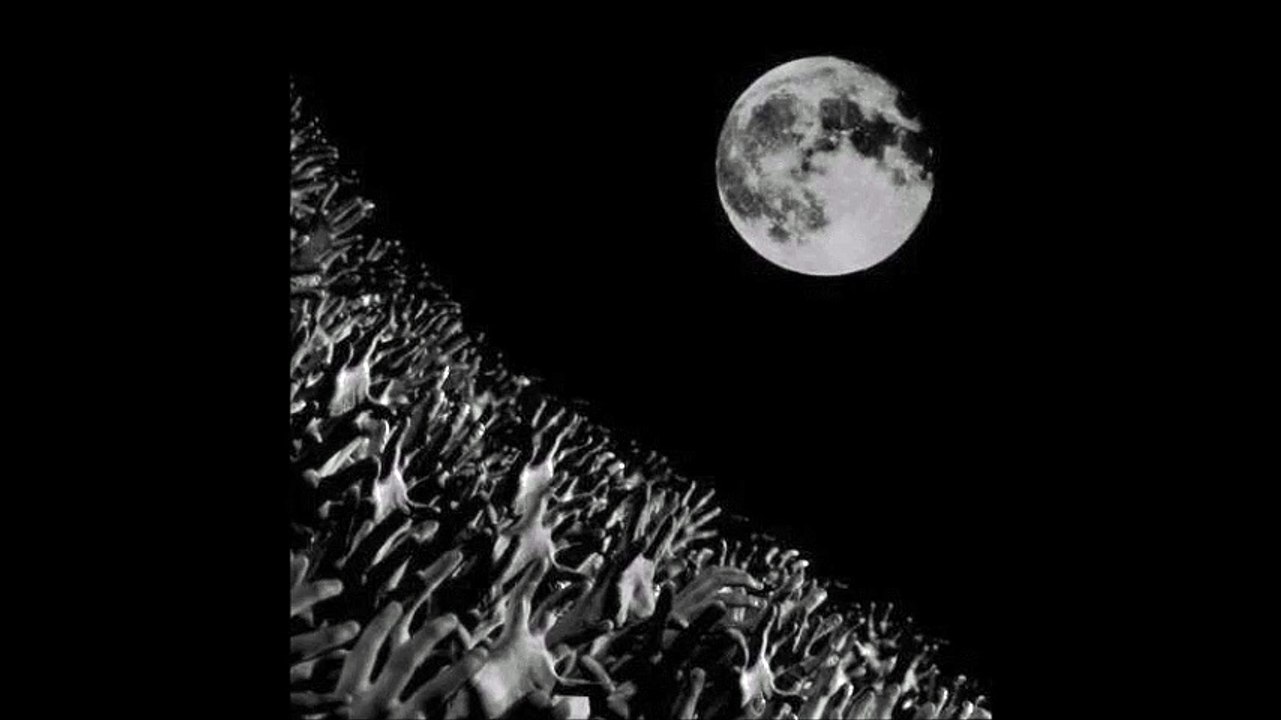 Muse - Blackout, Lyon Halle Tony Garnier, 11/10/2003