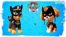 PAW Patrol Transforms into Avengers | Superhero Videos For Kids
