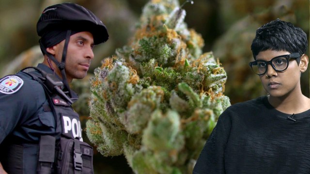 High Robbery: Canada’s Violent Cannabis Dispensary Raids