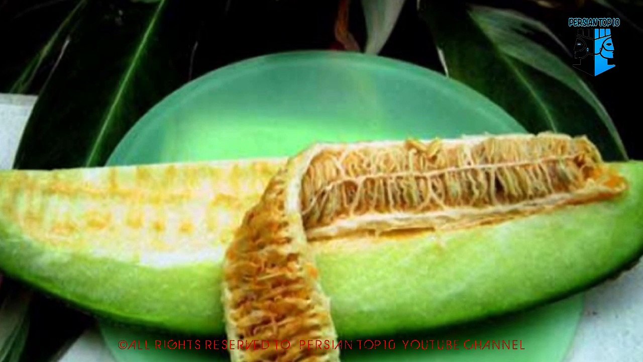 trim.C235F5F3-039B-4A18-9B11-AED40EF6BCD5