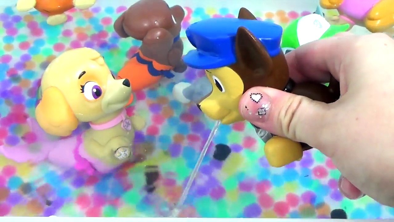 Nick Jr. Paw Patrol Bath Color Paint / Mer-Pups, Ryder, Chase, Everest, Skye, Toy Surprises / TUYC