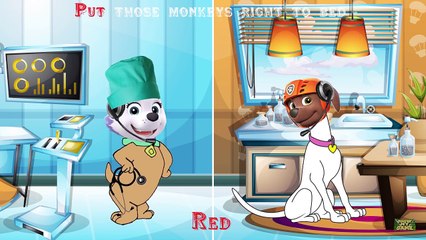 Paw Patrol Transforms Into Scooby-Doo Finger Family - Scooby-Doo as Paw Patrol Nursery Rhyme Cartoon