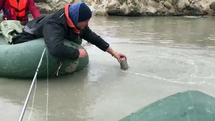 Sibirya'daki Gizemli Yer Şekilleri Herkesi Şaşırttı 2