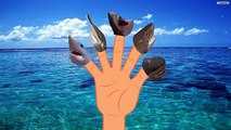 Finger Family Shark Nursery Rhyme | Animal Finger Family | Shark VS Shark for children