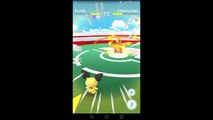 Baby Pokémon Gym Battles! Pichu,Cleffa,Elekid & Magby (Pokemon GO)