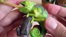 4 Reptile 3D puzzle Surprise eggs unboxing! All your favourite reptiles // Surprise TV