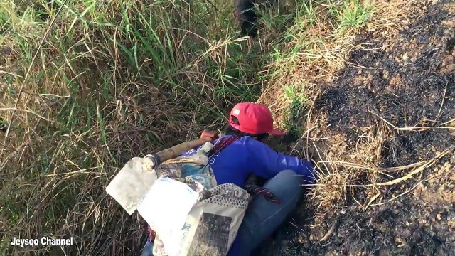 Brave Man Catch Big Snake Along The Road - How To Find Snake Hole And Digging Snake In Cambodia