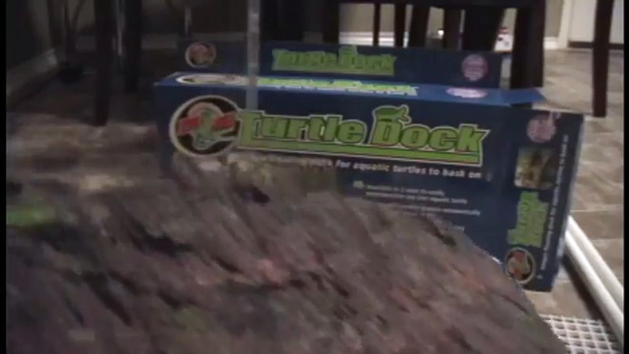 How to make a cheap and pretty basking area for a turtle.