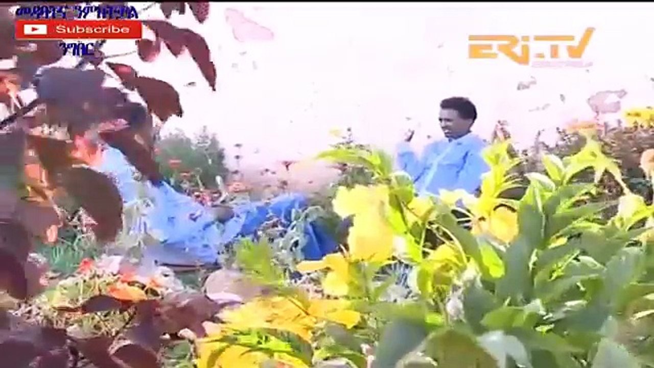ሓውና ን ሓንቲ ናይ ህጻናት  ቤት ትህምርቲ ብ ዕንበባ  ናብ ገነት ዝቀየራ New Eritrean- 2017
