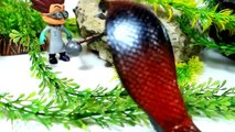 Щенячий Патруль новые серии Змея и Ромео Герои в Масках Мультики про игрушки PAW PATROL для детей