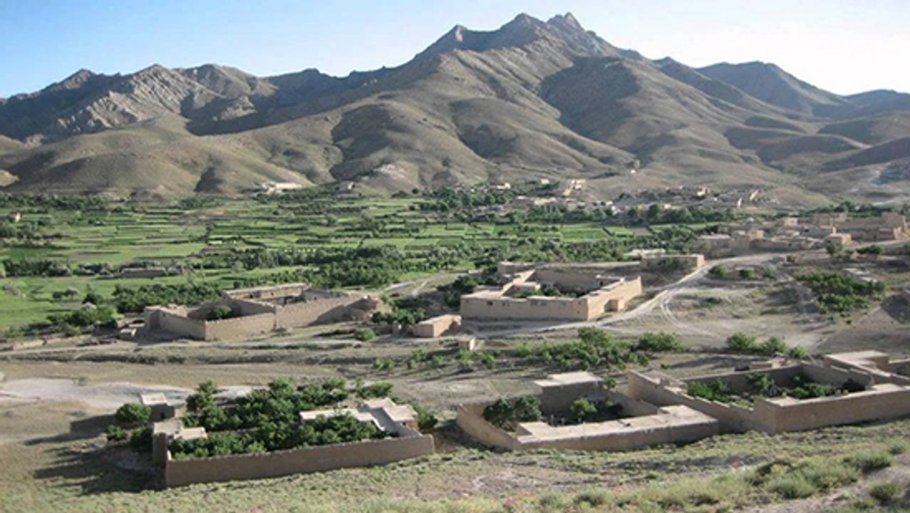 سر سرخ کیچه طاقچین تمکی با جمعی از دوستان_HD