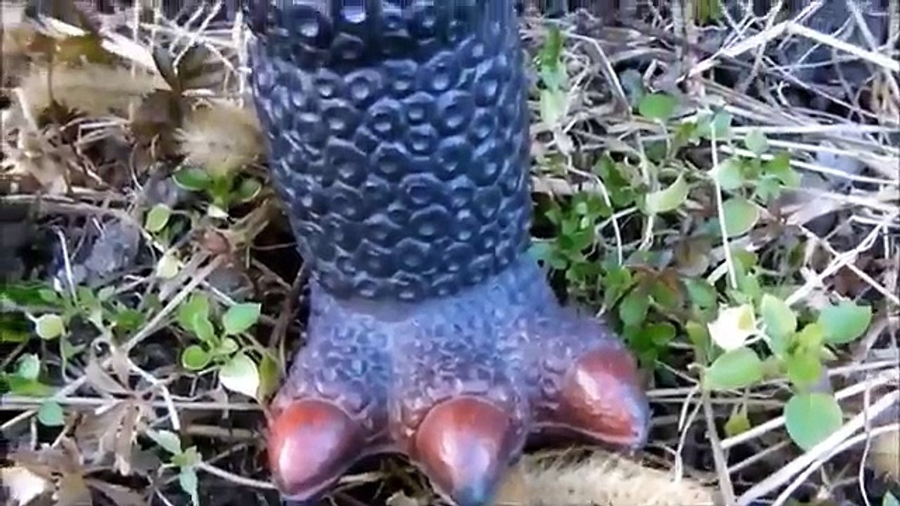 Hybrid Dinosaur Indominus Rex vs Godzilla. Toy Video For Kids