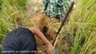 Amazing Brave Boys Catch Giant Anaconda Snake in a Hole - How to Catch Anaconda Snake in My Village