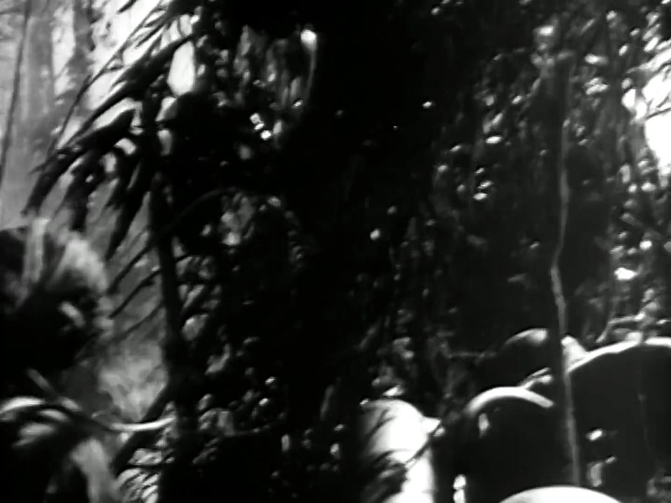 The First Cavalry Division and the 41st Infantry Division ~ 1952