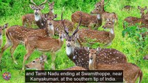 Western Ghats Destination Spot | Top Famous Tourist Attractions Places To Visit In India - Tourism in India