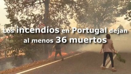 Aumenta a 36 el número de muertos en los incendios de Portugal